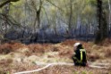 Waldbrand Wahner Heide Troisdorf Eisenweg P088